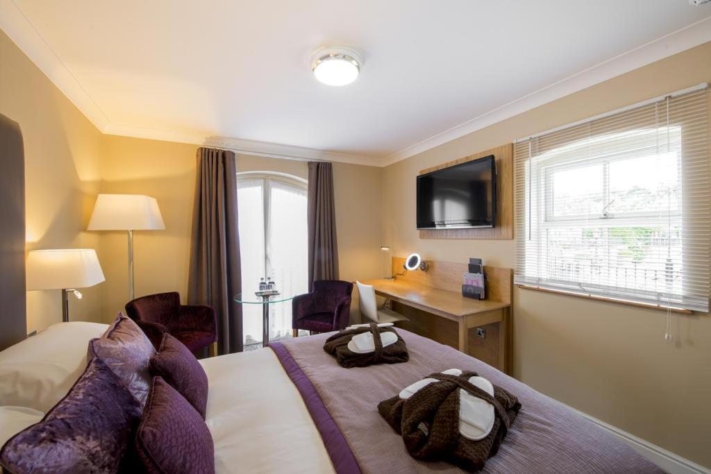 Double Room with Canal View,61921678:JPEG