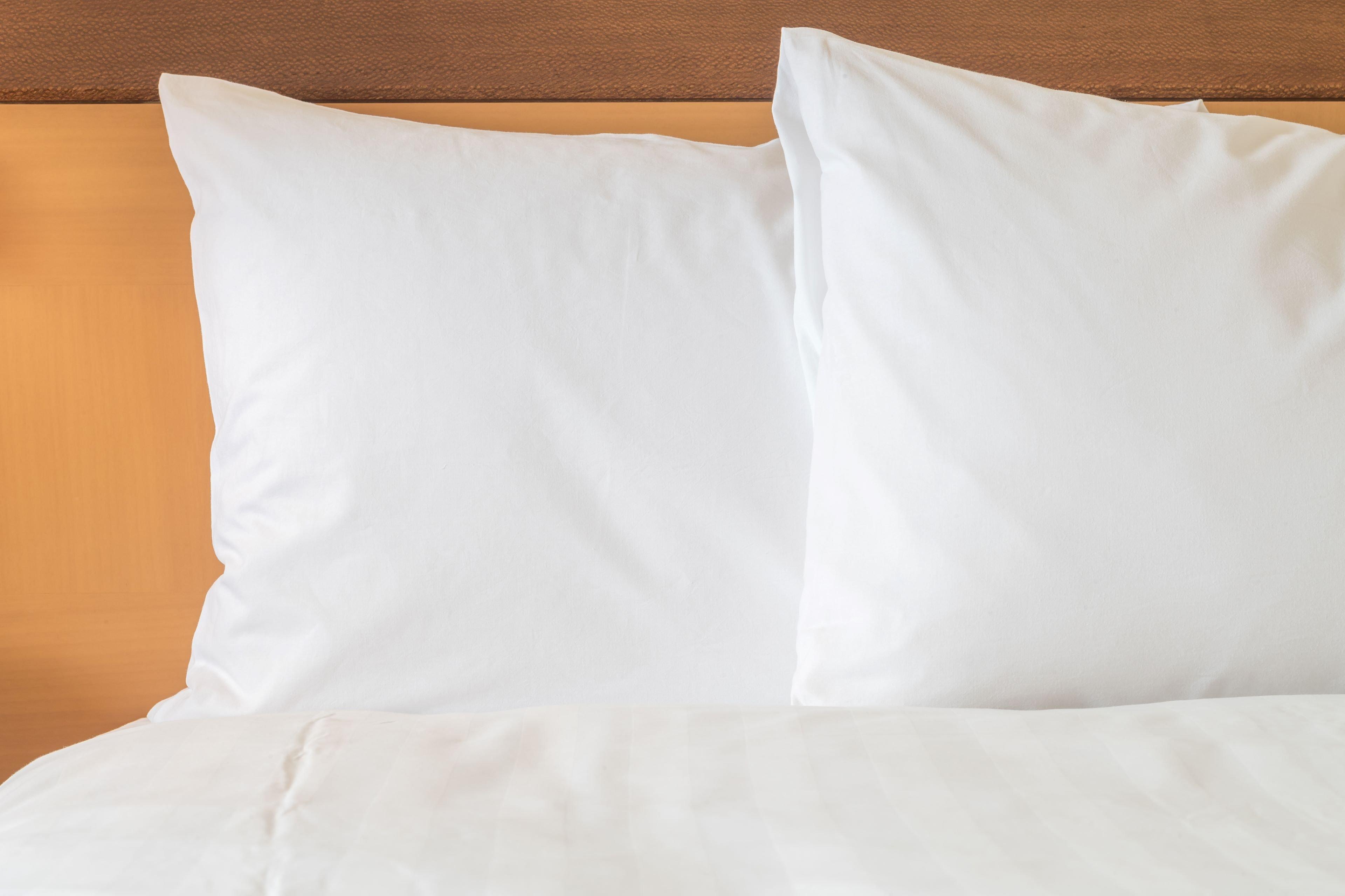 Standard Twin Room with Free Hot Breakfast
