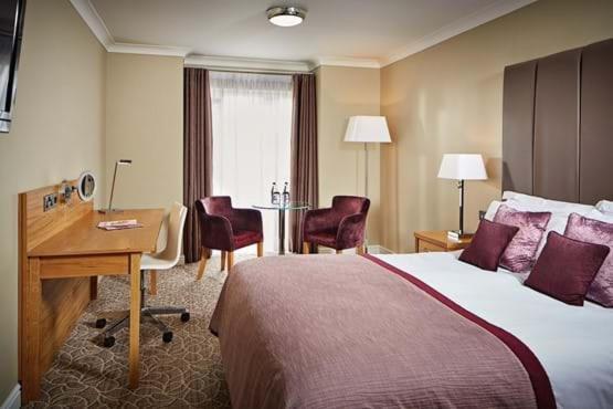 Large Double Room,463792074:JPEG