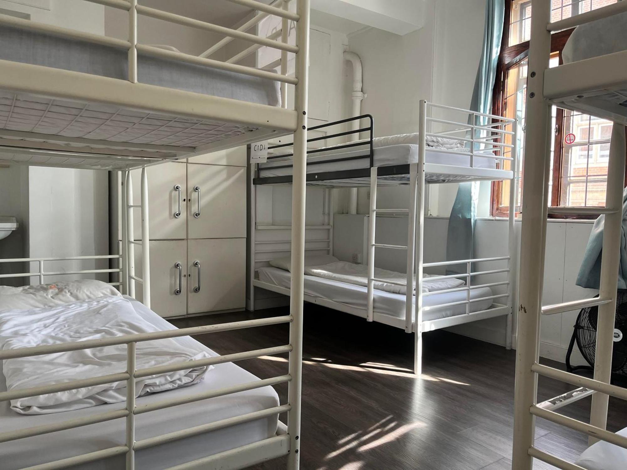 Bed in 6-Bed Mixed Dormitory Room