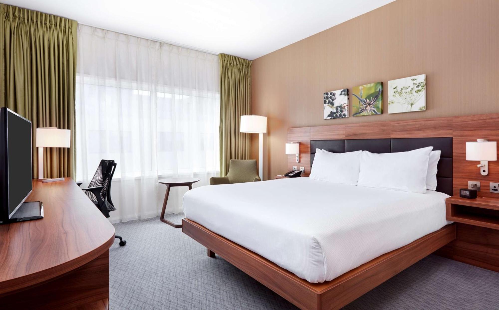 King Room,1500977983:JPEG
