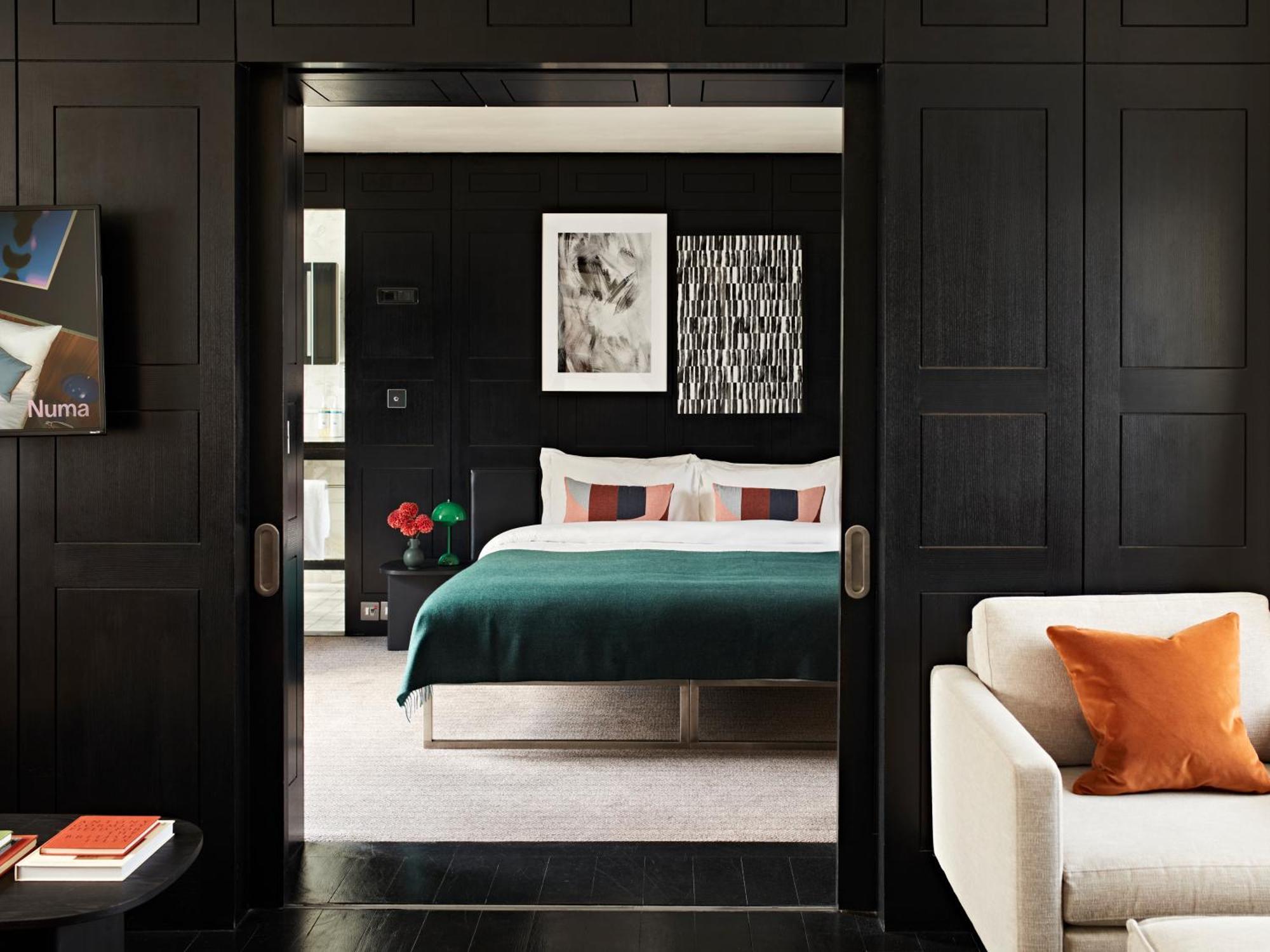 Extra Large Studio Sofa Bed and Shared Terrace,1677852874:JPEG