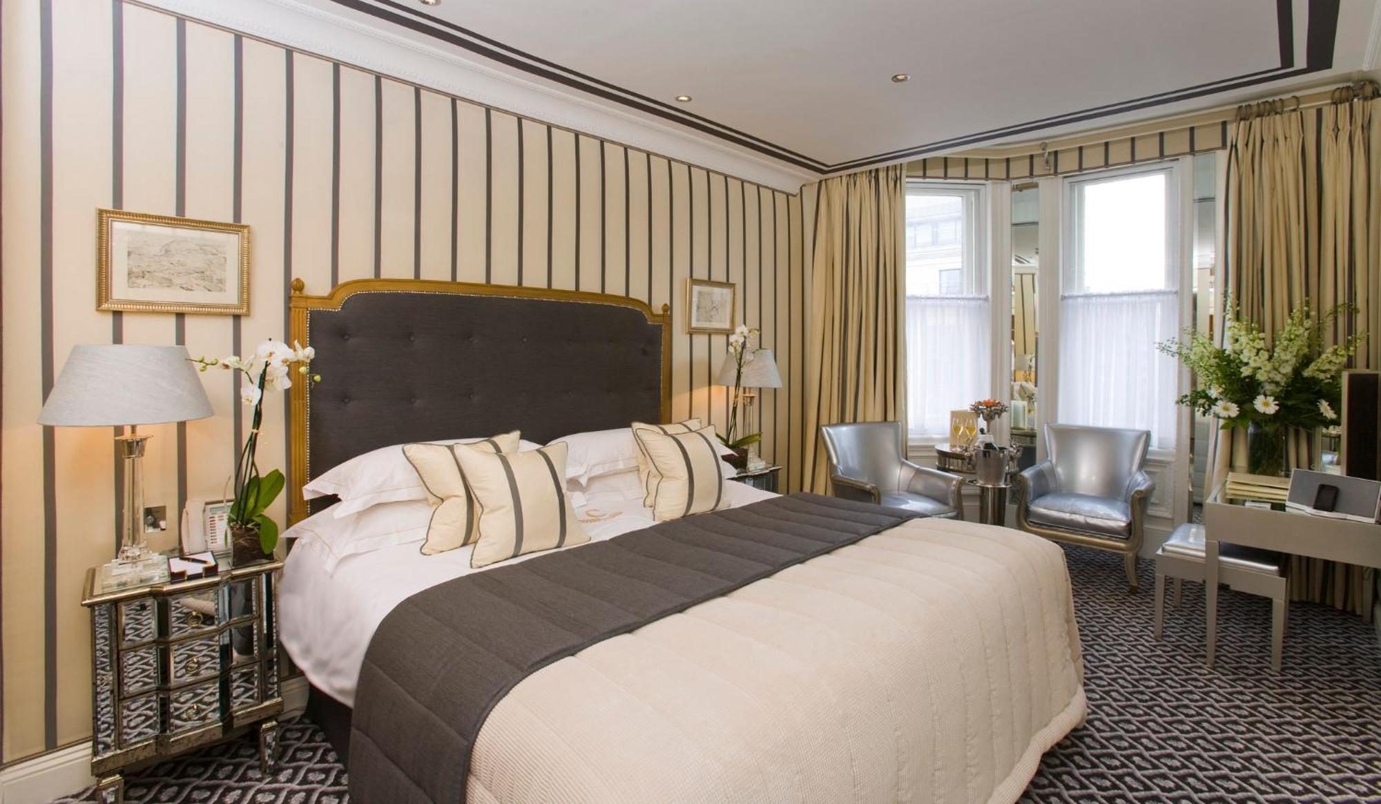 Suite Júnior