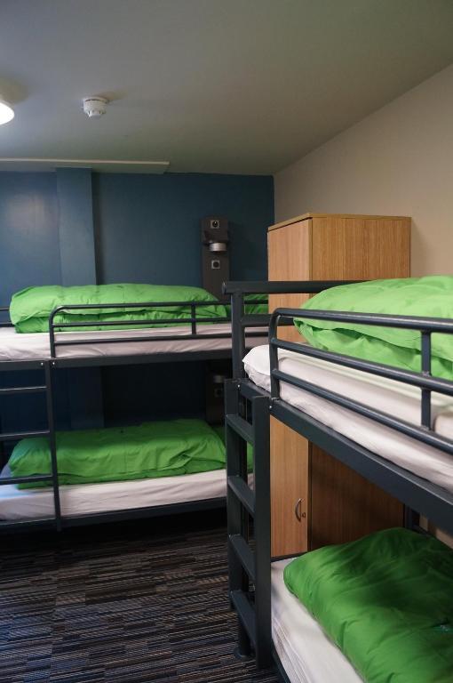 Bunk Bed in Male Dormitory Room with Shared Bathroom