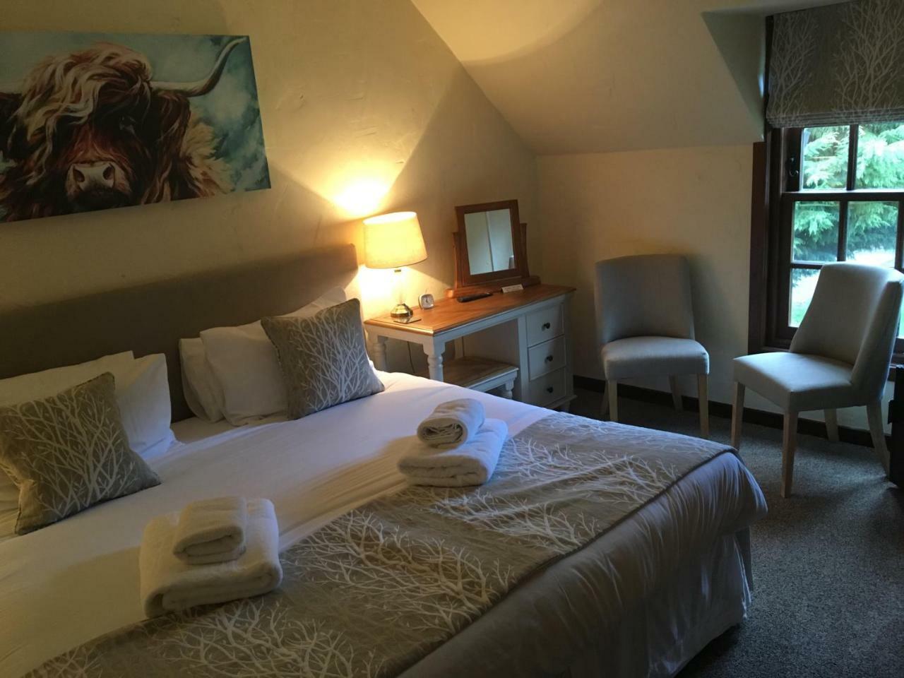 Double or Twin Room,779074269:JPEG