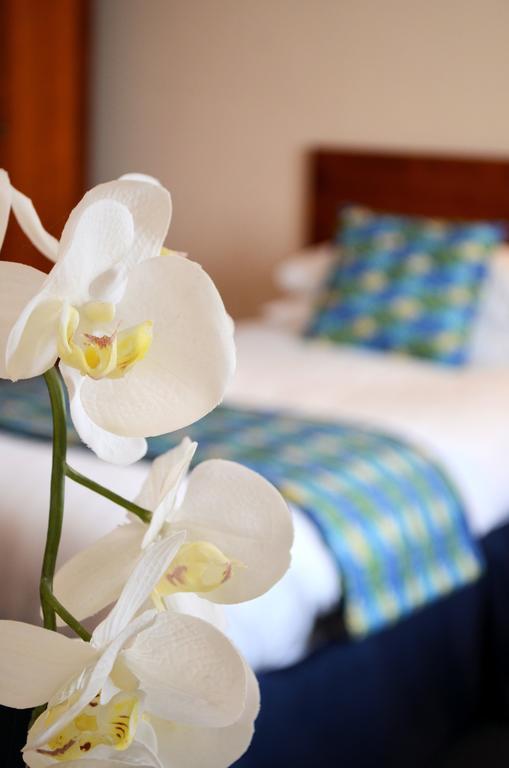 Quarto Superior com Cama King-size