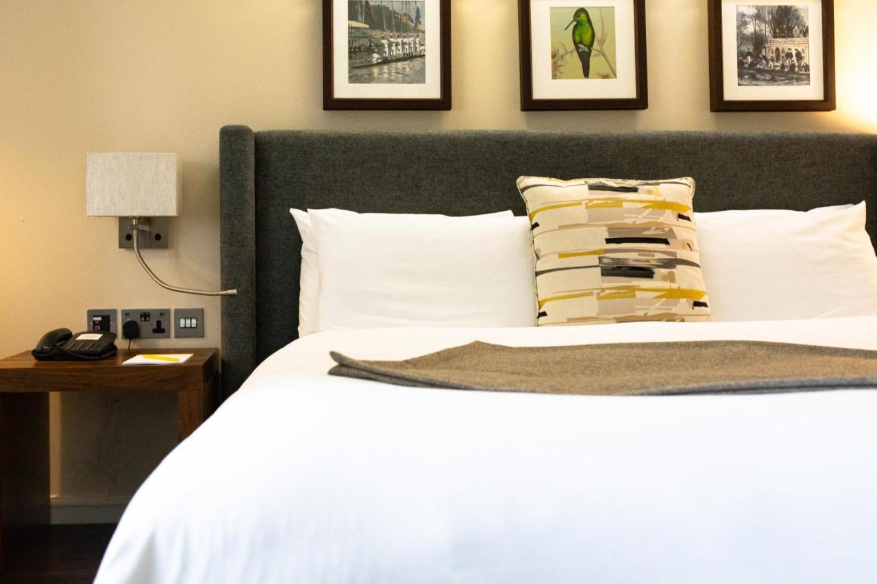 Premium King Room,944822266:JPEG