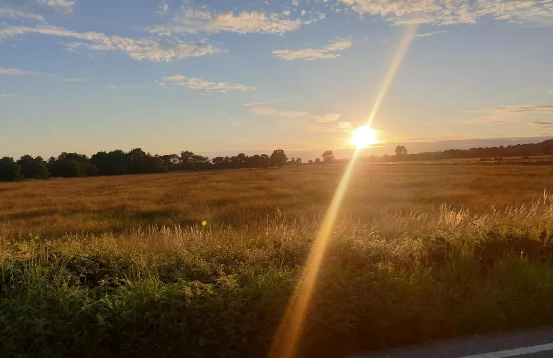 Millbatch Farm-1