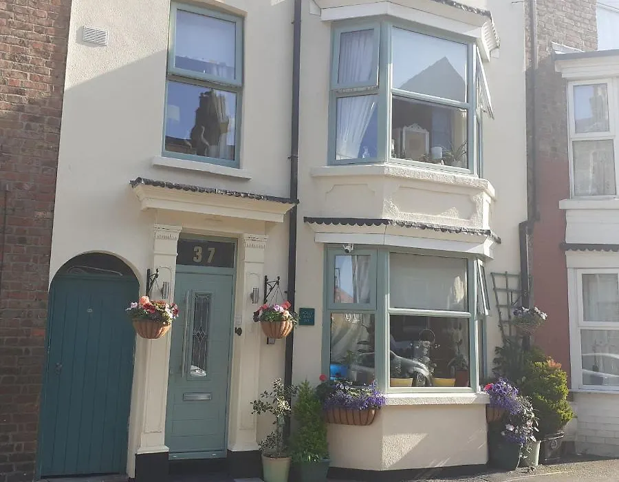 The Holly & Ivy-1