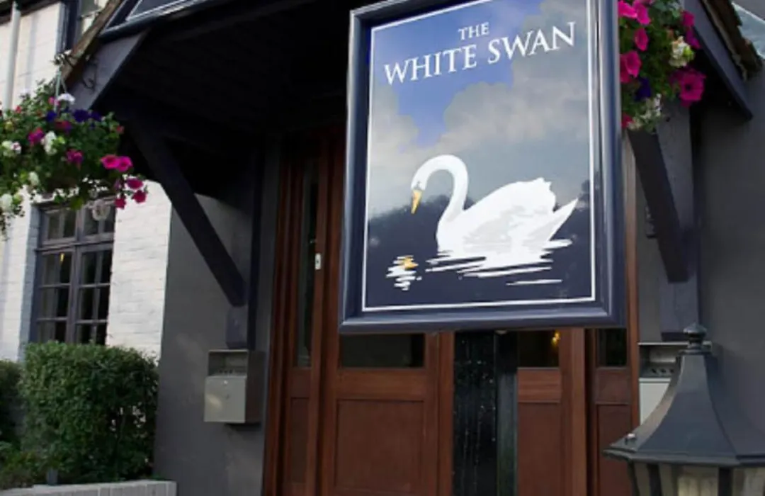 The White Swan-1