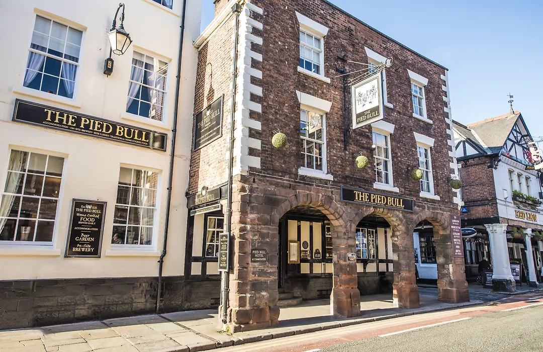 The Pied Bull-1