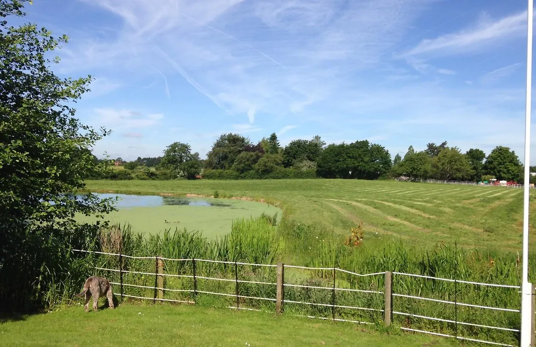 Whitethorn Bed And Breakfast-1