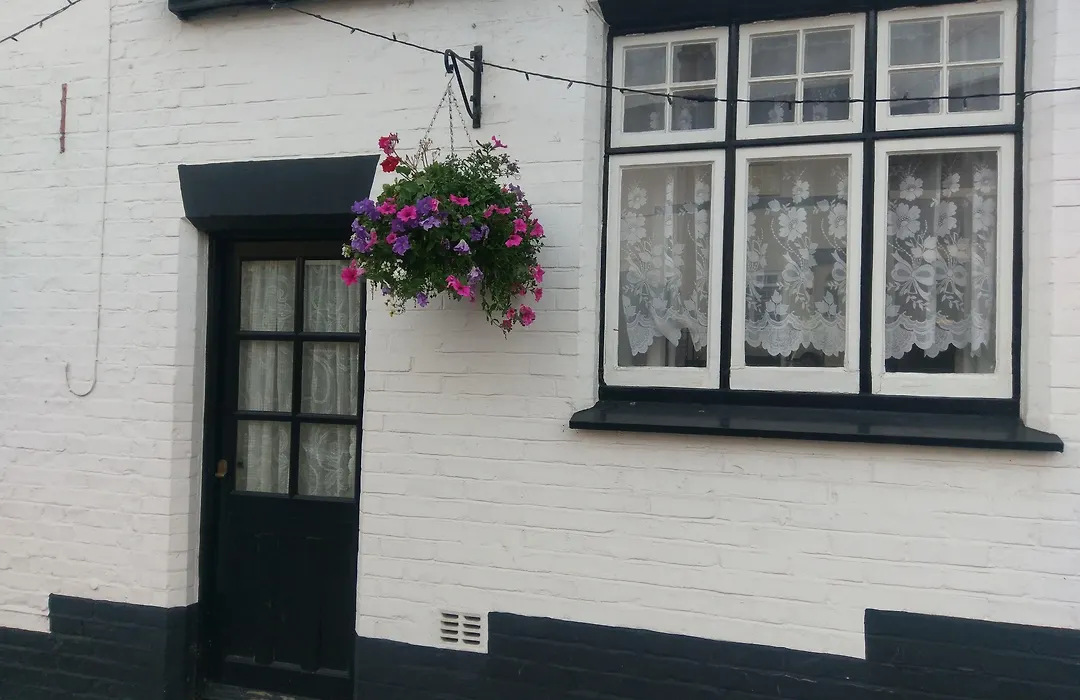 The Rifle Volunteer-1