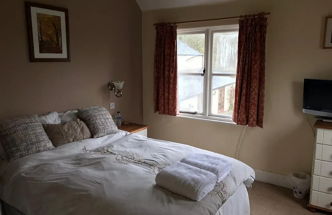The Carew Arms-1