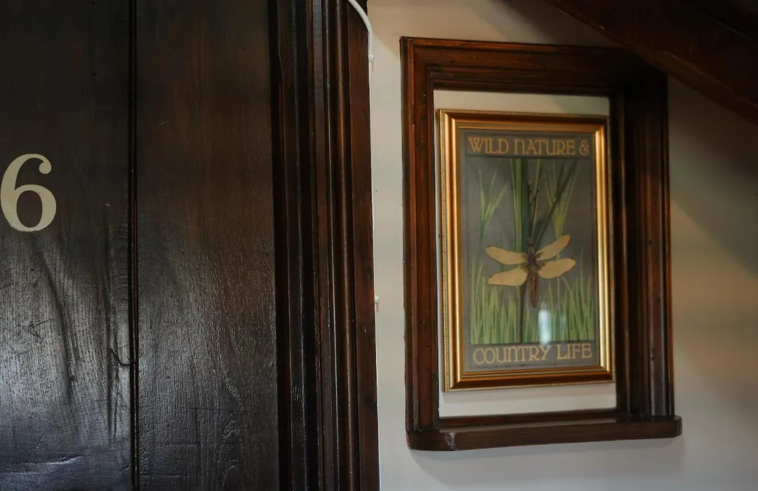 The Falkland Arms-1