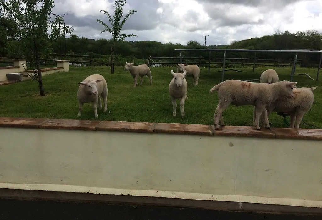 Barton Gate Farm B&B-1