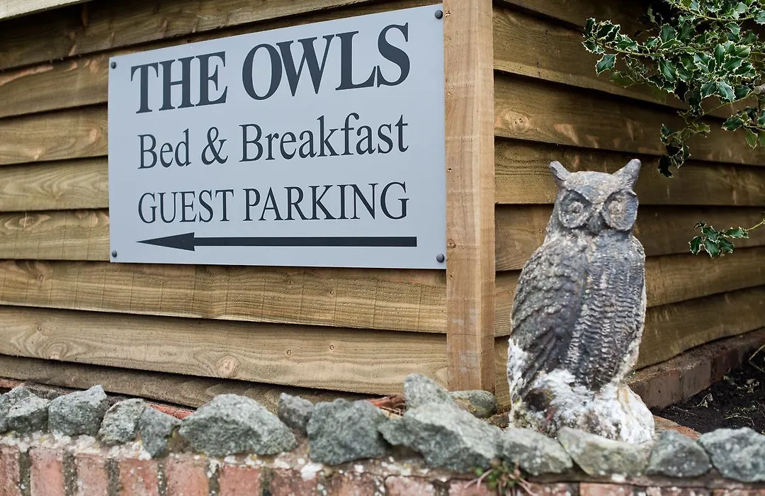 The Owls-1