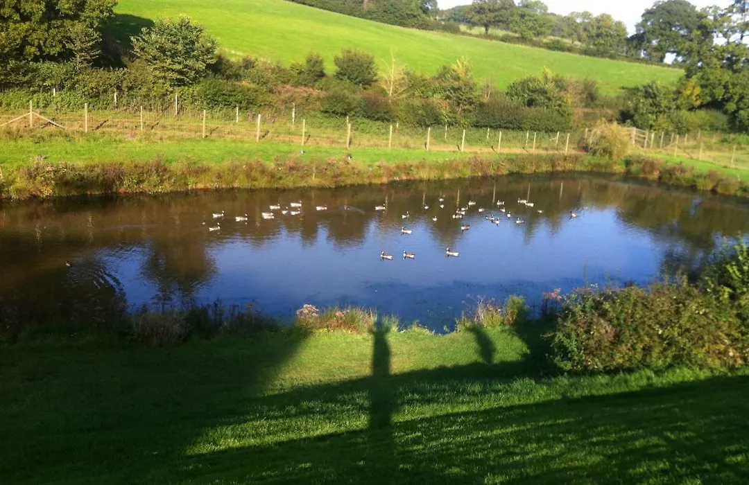 East Dunster Deer Farm B&B-1