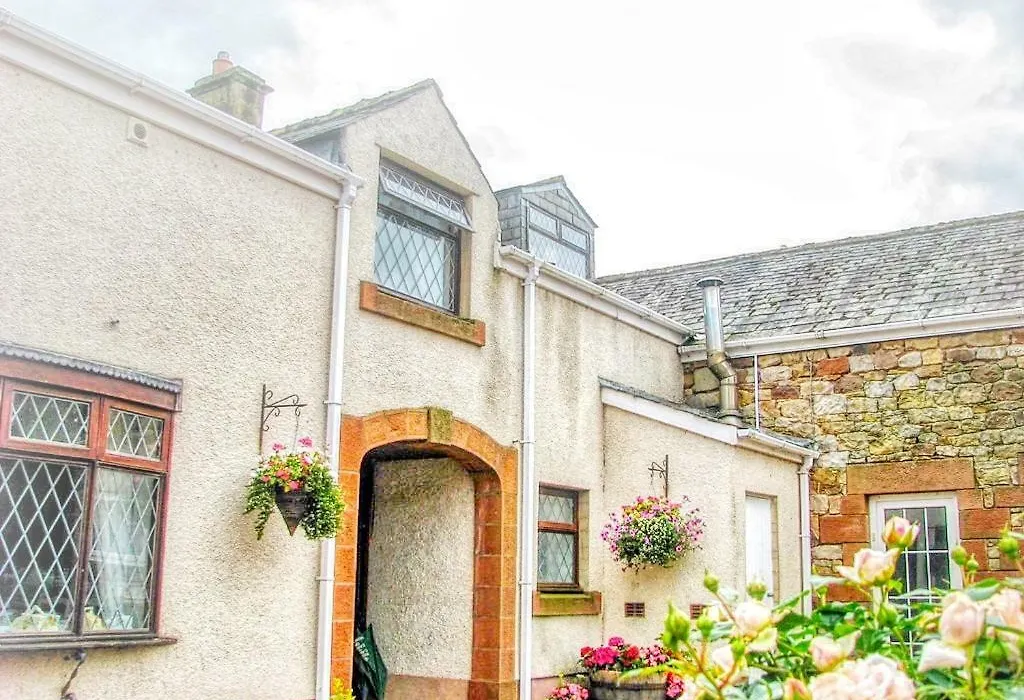 Bessiestown Country Guesthouse-1