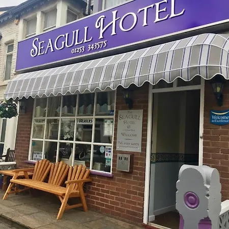 Seagull Hotel-3