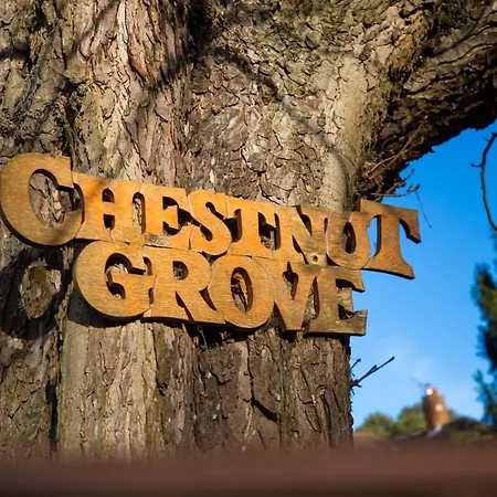 Chestnut Grove Bed And Breakfast-3