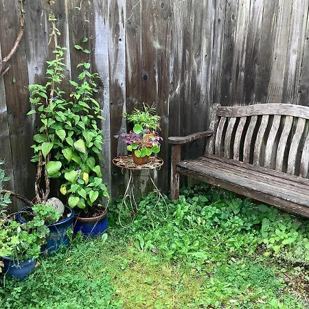 Primrose Villa Self Catering Bnb-2
