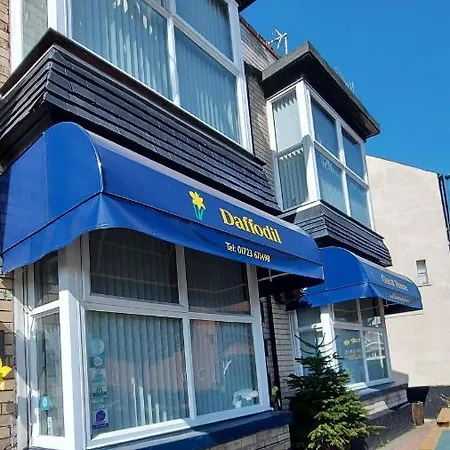 Daffodil Guest House-2