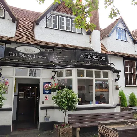 The Old Black Horse Inn-3