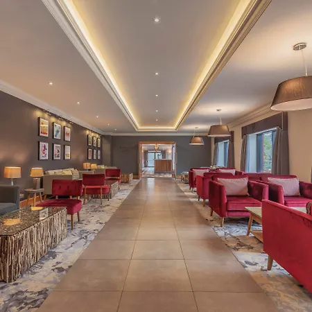 Silverbirch Hotel-2