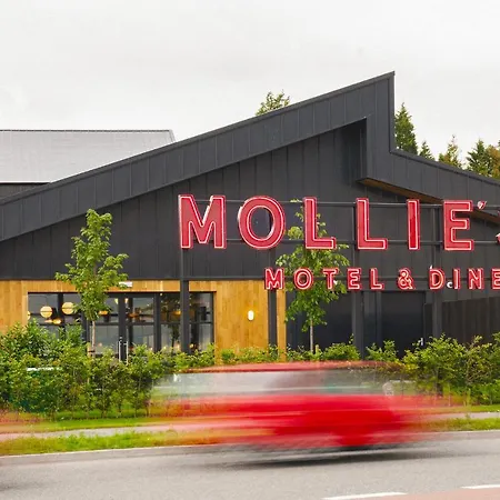 Mollie'S Bristol-2