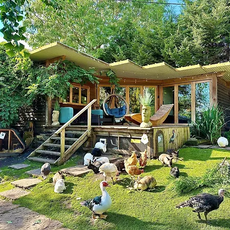 The Base Vegan Retreat Animal Sanctuary-2