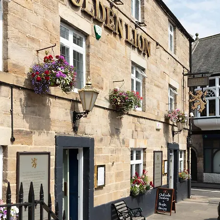 Golden Lion-3