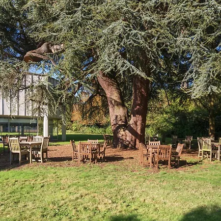 Holiday Inn York By Ihg-2