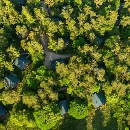 Keldy Forest Cabins - Forest Holidays-3