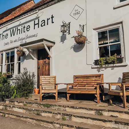 The White Hart, South Harting-3