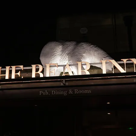 The Bear-3