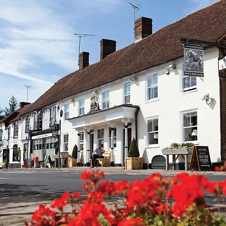 The Dog & Bear Hotel-2