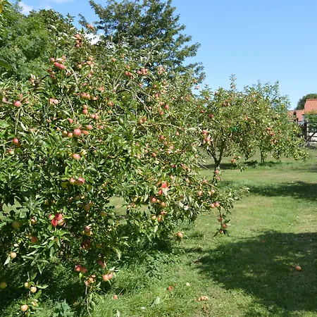 Orchard Lodge-3