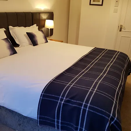 Ty Helyg Guest House-3