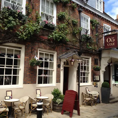 The Old Vine-3