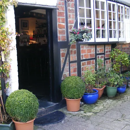 The Tree Inn-3