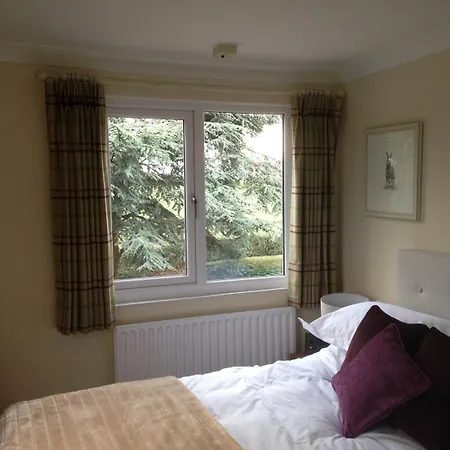 Whitethorn Bed And Breakfast-3