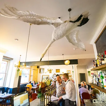 The Crooked Swan-2