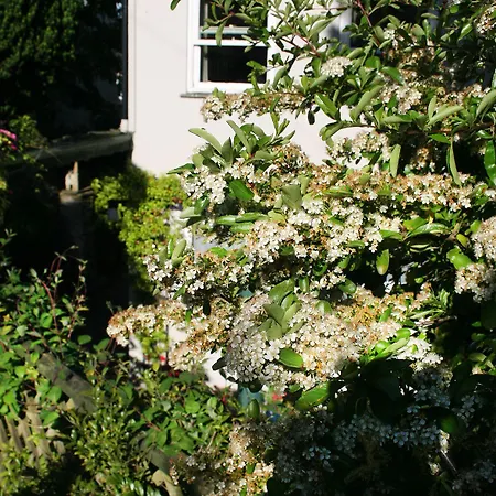 Townhouse Rooms-2