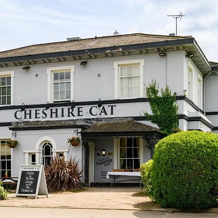 The Cheshire Cat By Innkeeper'S Collection-2