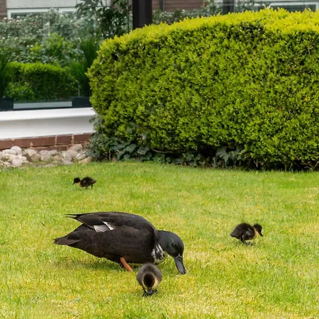 Daresbury Park Hotel-3