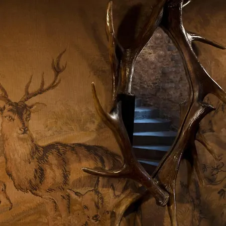 The Witchery-2