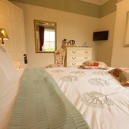 Alpine Lodge Guest House-2