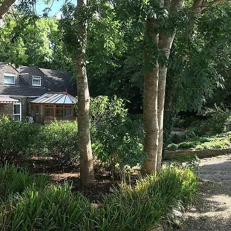 Bedrock Lodge-2