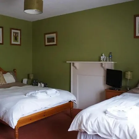 The Carew Arms-2